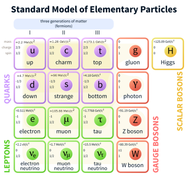 803px-standard_model_of_elementary_particles-svg